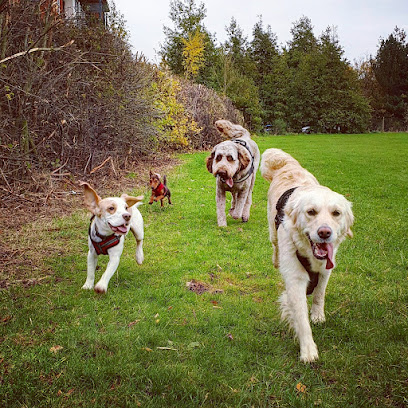 Tails & Trails Ellesmere Port