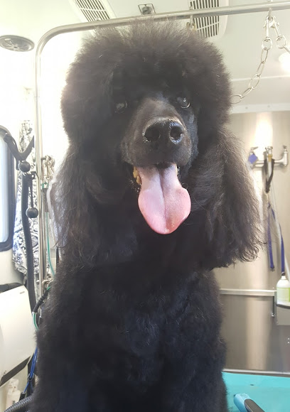 Hair of the Dog Mobile Grooming Salon