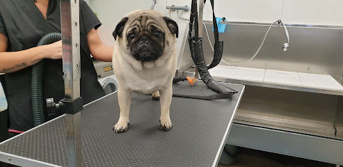 Vets for Pets - Walton Vale - Pet Shop in Liverpool