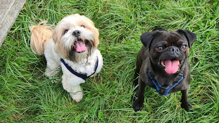 Petpals Sefton - Pet Shop in Liverpool