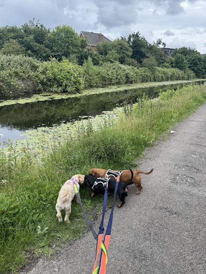 Posh Dogz Luxury Dog hotel