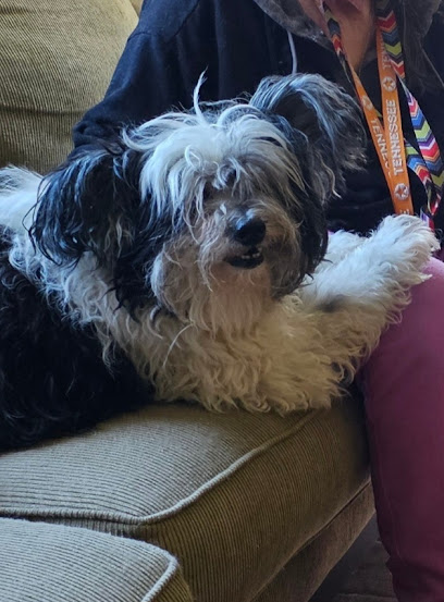 Phoenix Veterinary Service: Mobile Vet Nashville, TN