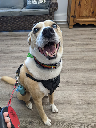 Elm Hill Veterinary Clinic