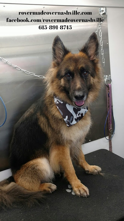 Rover Made Over - Mobile Pet Grooming Franklin, Brentwood, Belle Meade, 12 South, East Nashville