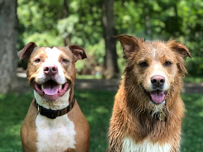 Nashville Tail Blazers