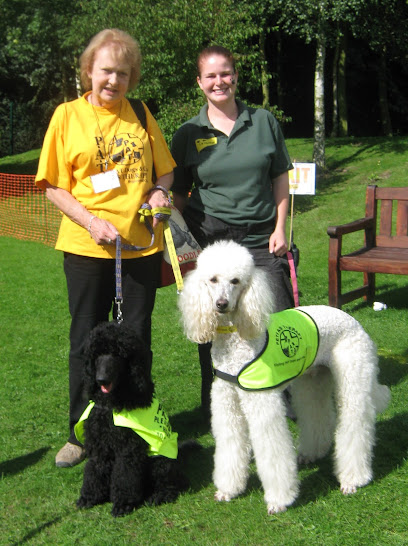 Liverpool Dog Training - Pet Shop in Liverpool