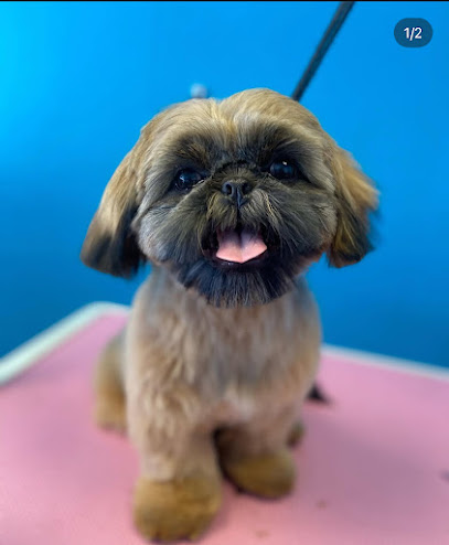 Canine Divine Grooming Salon - Pet Shop in Liverpool