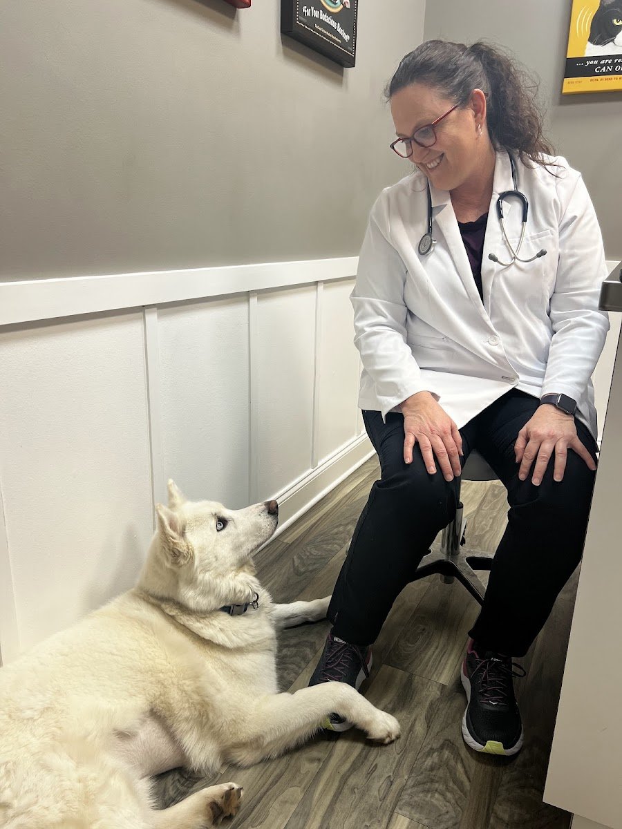 Veterinary Ophthalmology Services - Photo 2