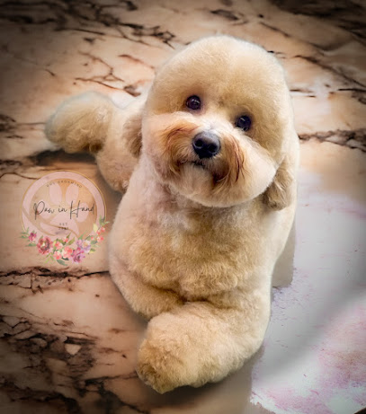 Paw in Hand dog grooming