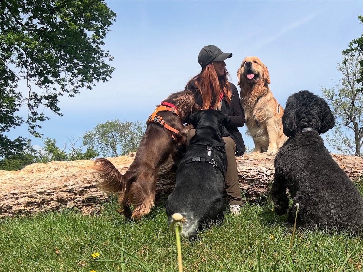 Buddy's Dog Services - Photo 2