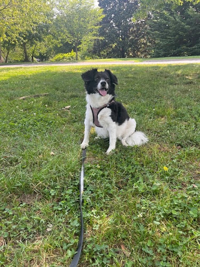 Pawsitive Adventure Crew