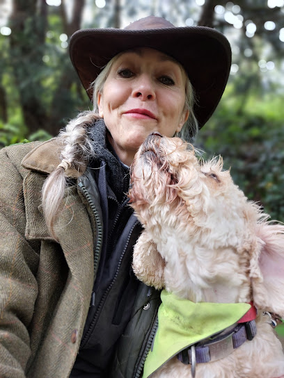 Happy Days Dog Care Ltd