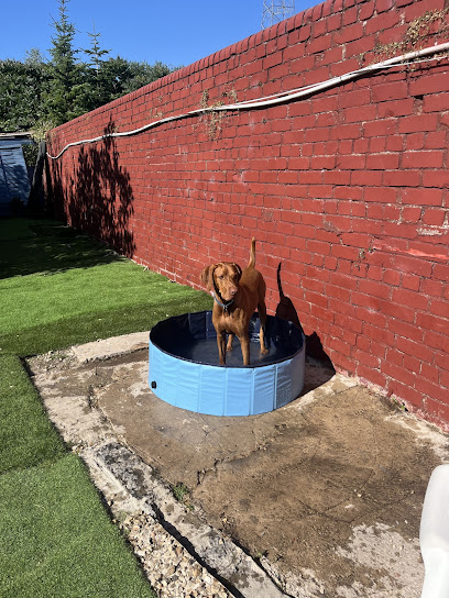 Maria’s Dog Corner