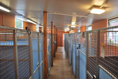 Overhill Kennels & Exports