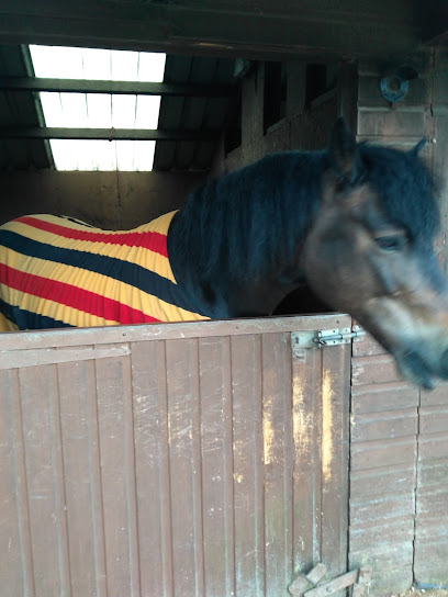 Vale Hollow Farm Livery - Pet Shop in Bristol