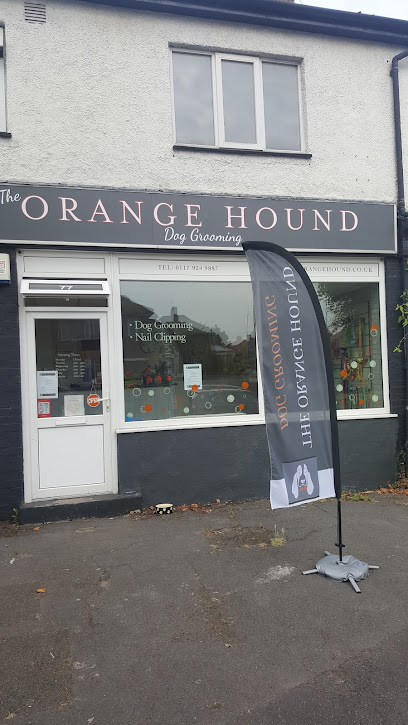 The Orange Hound - Pet Shop in Bristol