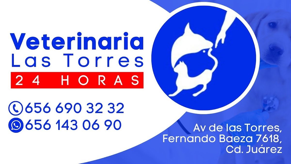 Veterinary Las Torres - Photo 2