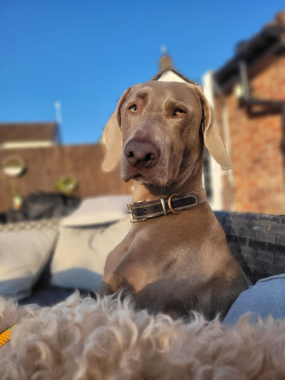 Pet Pal North Somerset - Pet Shop in Bristol