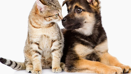 Mimi & Lola’s Pet Care & Dog Walking