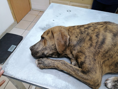 Veterinaria Puerto de Palos - Pet Shop in El Paso