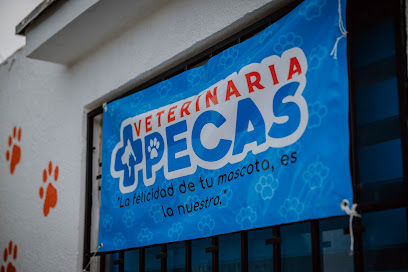 Veterinaria Pecas