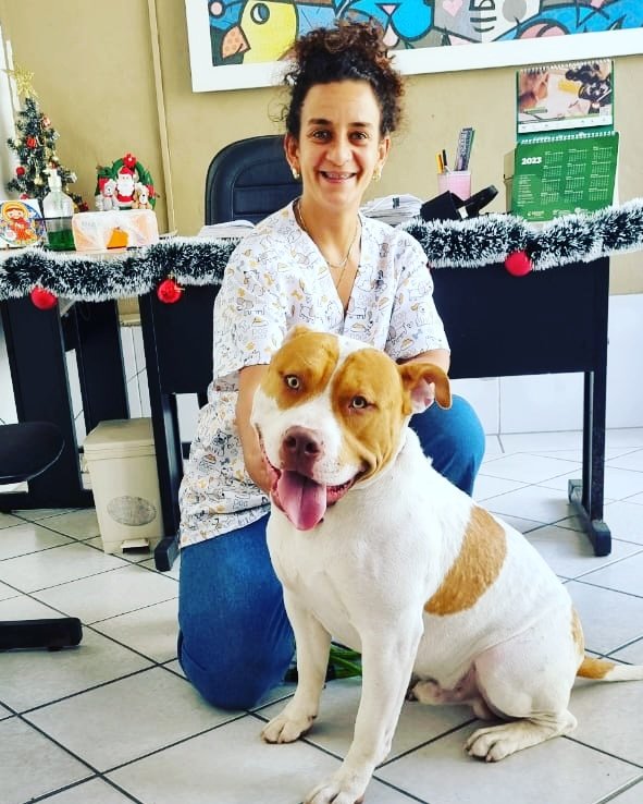 veterinários associados Dr Ronaldo Maia e Dra Camila Reck