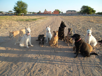 Howl-a-Day Inn Dog Boarding & Daycare