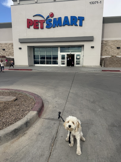 PetSmart Dog Training