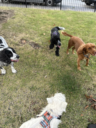 PawsomePals Edinburgh Ltd.