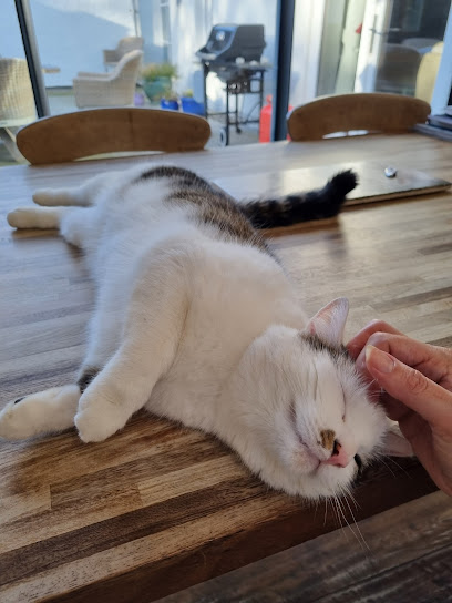 Feline Fabulous Edinburgh