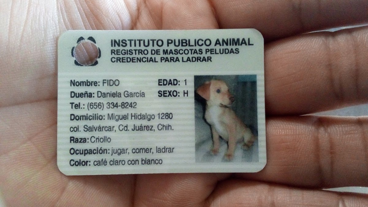 MINI IDs - Photo 2