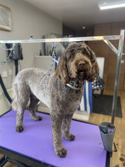 Grange Dog Grooming