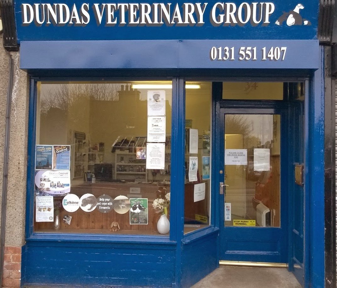 Dundas Veterinary Group - Photo 3