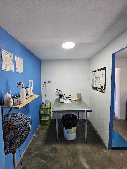VETERINARIA PATA-TOÑO - Pet Shop in El Paso