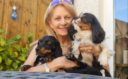 Bespoke Home From Home Dog Boarding