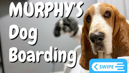 Murphy's Dog Boarding