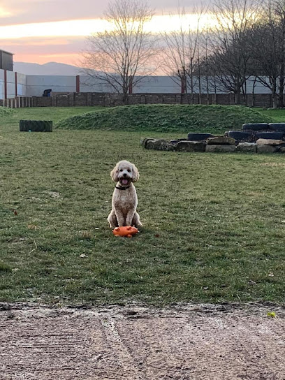 Hound Around Day Care