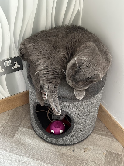 The Feline Care Company