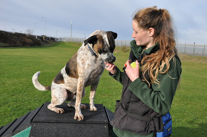 Dog First Aid and Body Language Courses at Edinburgh Dog and Cat Home