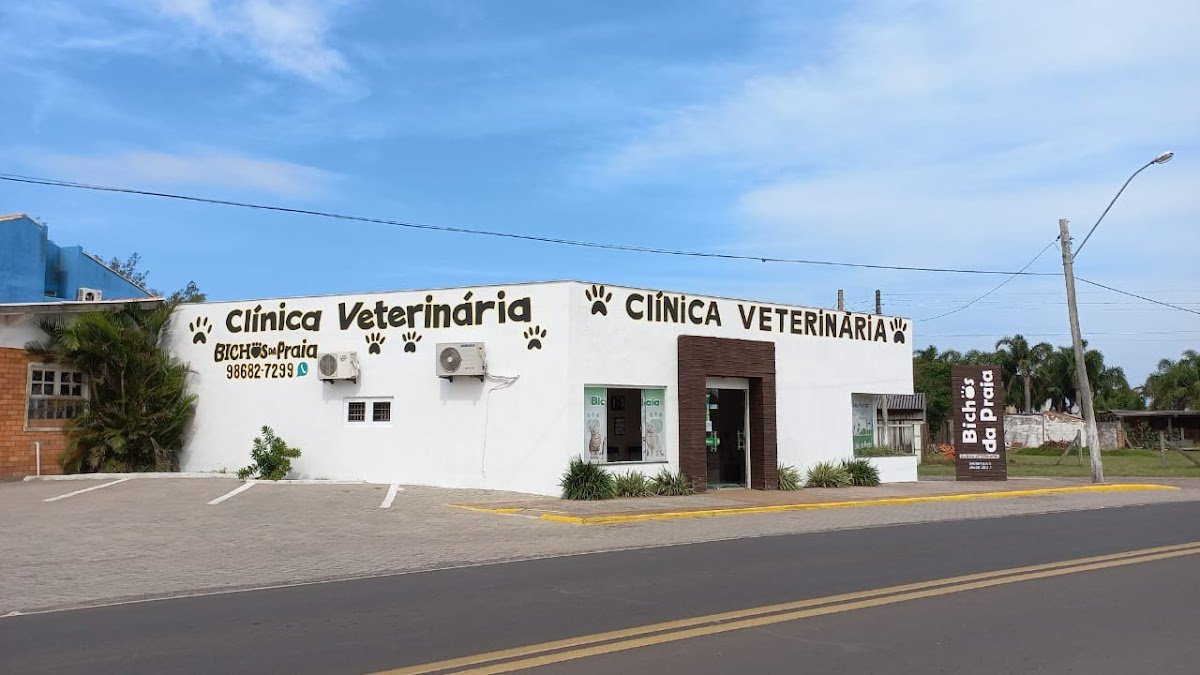 Bichos da praia veterinaria