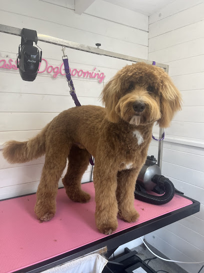 Cassies dog grooming