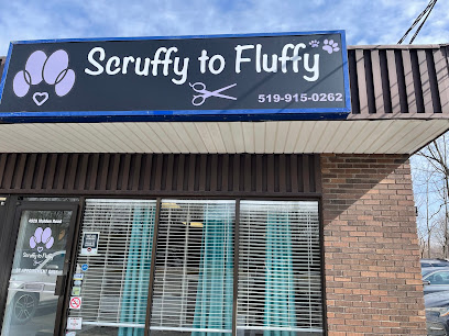 Scruffy To Fluffy