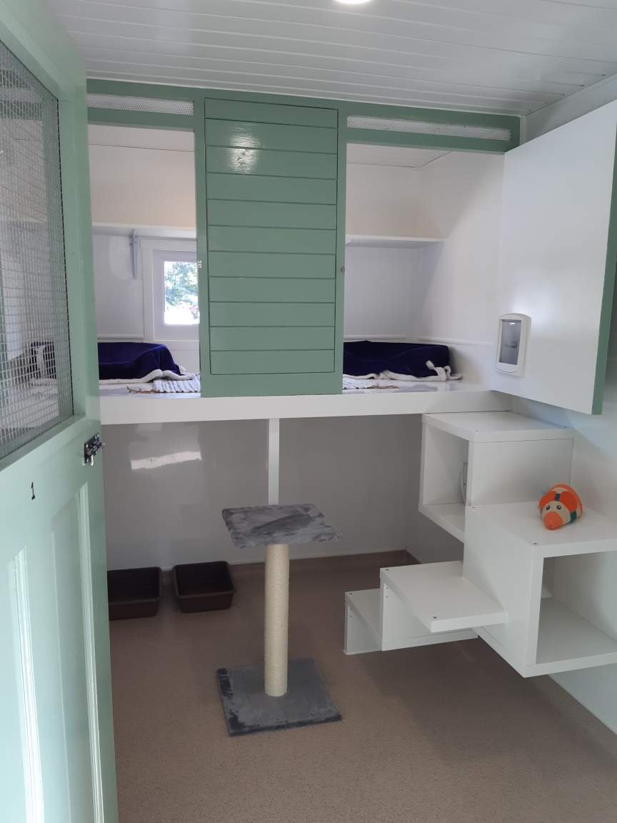 Hall Park Barn Cattery - Photo 2