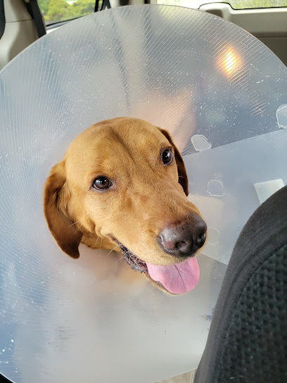 South Howard Animal Clinic