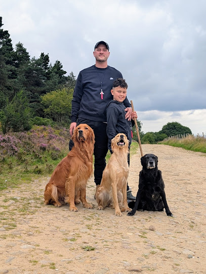 Sheffield K9 Academy - Pet Shop in Sheffield