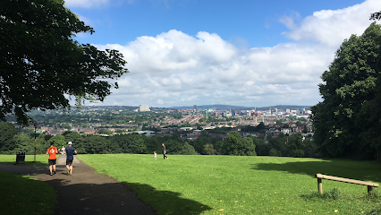 Life On Paws Dog Sitting Sheffield: Home Dog Care