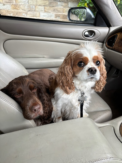 Dore Canine Services