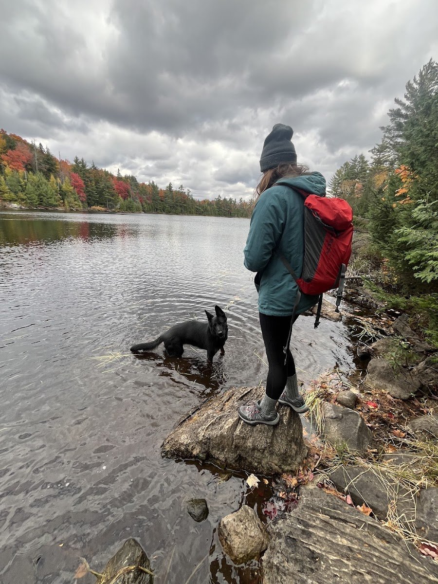 Olympia Dog Training LLC - Photo 2