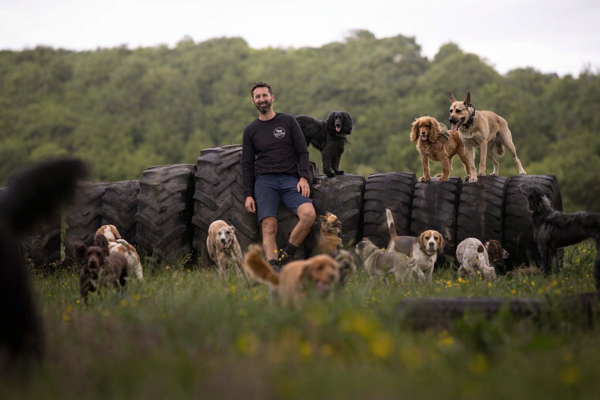 Forest Dogs Land - Photo 2