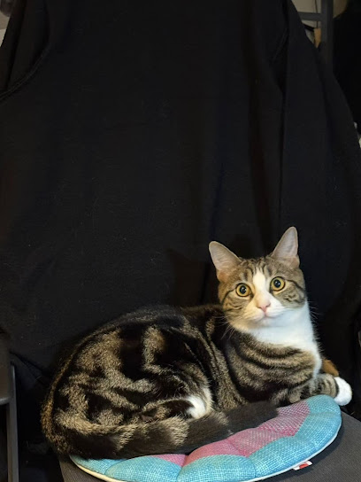 Furrykitty Cattery - Pet Shop in Sheffield